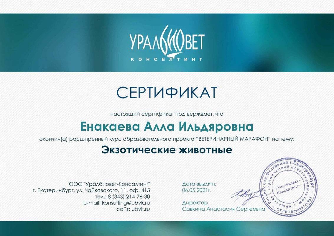Документ или сертификат