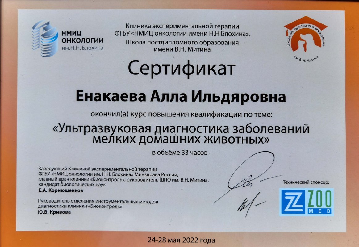 Документ или сертификат