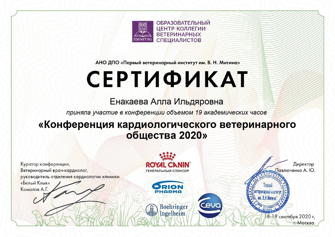 Документ или сертификат