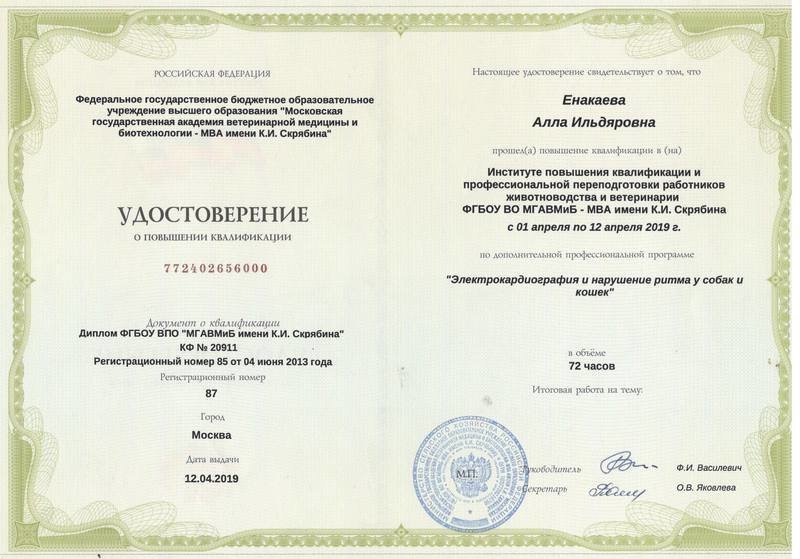 Документ или сертификат