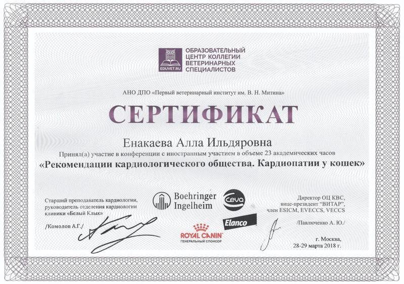 Документ или сертификат