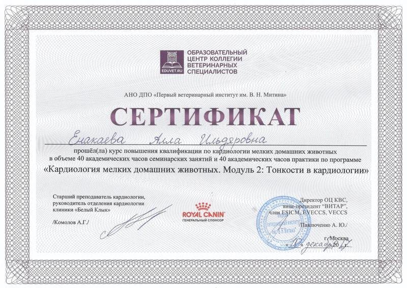 Документ или сертификат
