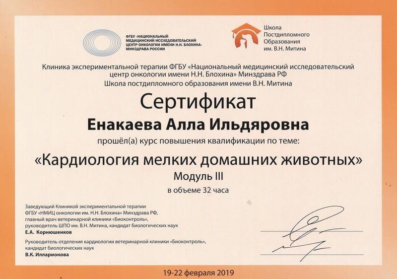 Документ или сертификат