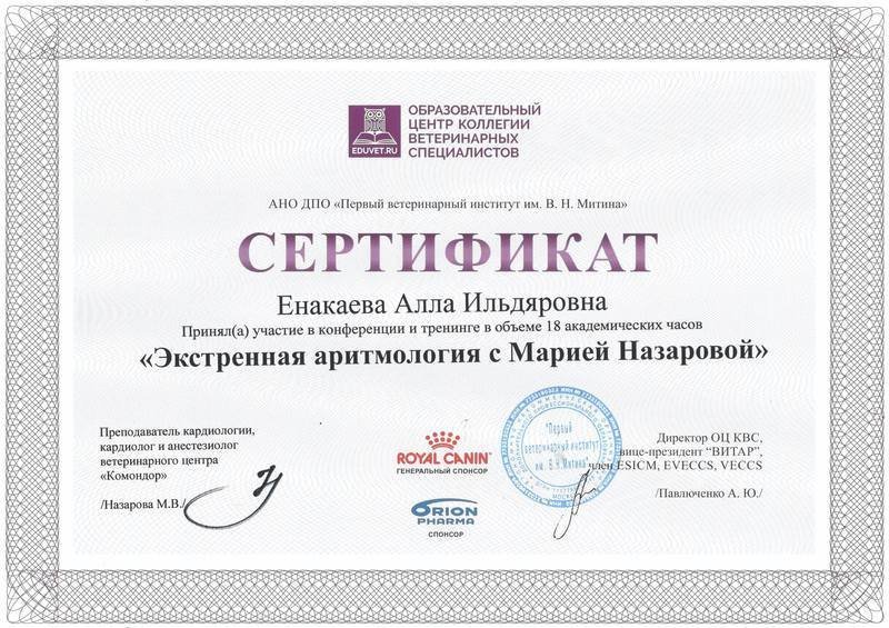 Документ или сертификат
