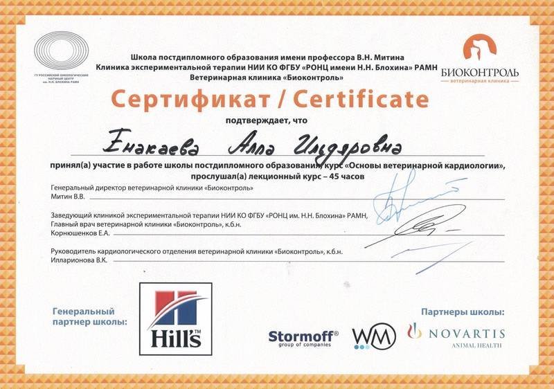 Документ или сертификат