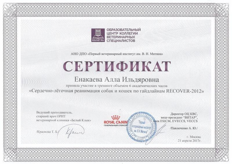 Документ или сертификат