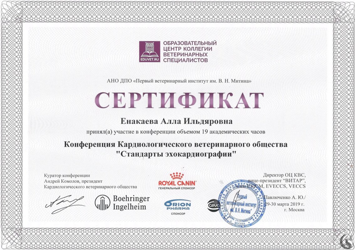 Документ или сертификат