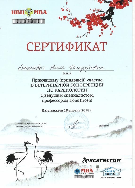 Документ или сертификат