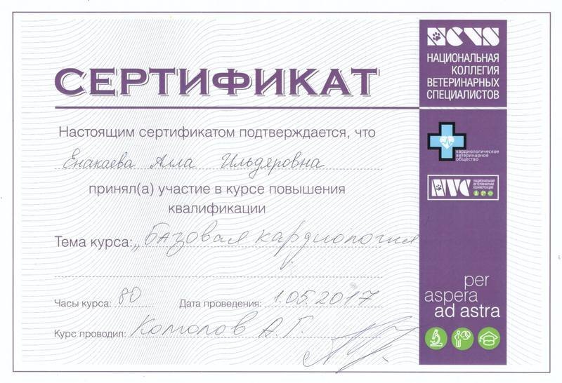 Документ или сертификат