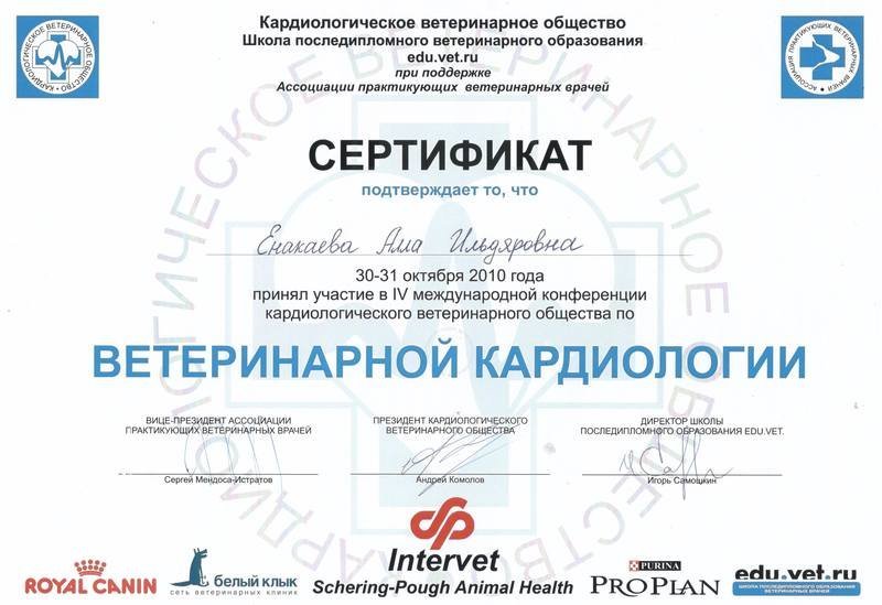 Документ или сертификат