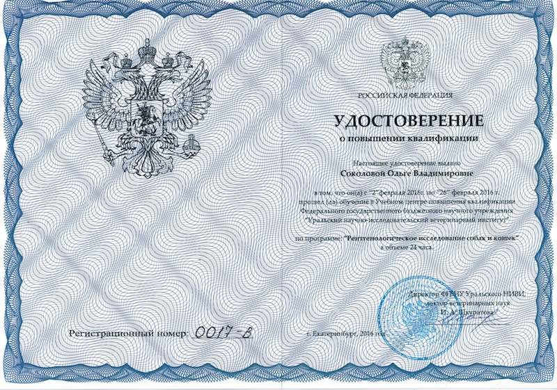 Документ или сертификат