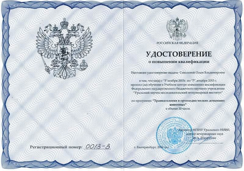 Документ или сертификат