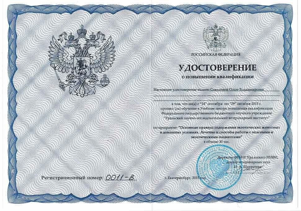 Документ или сертификат