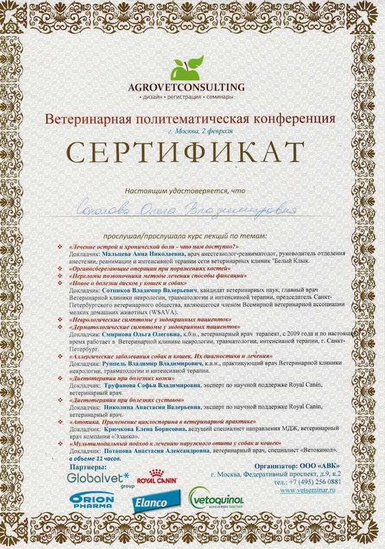 Документ или сертификат