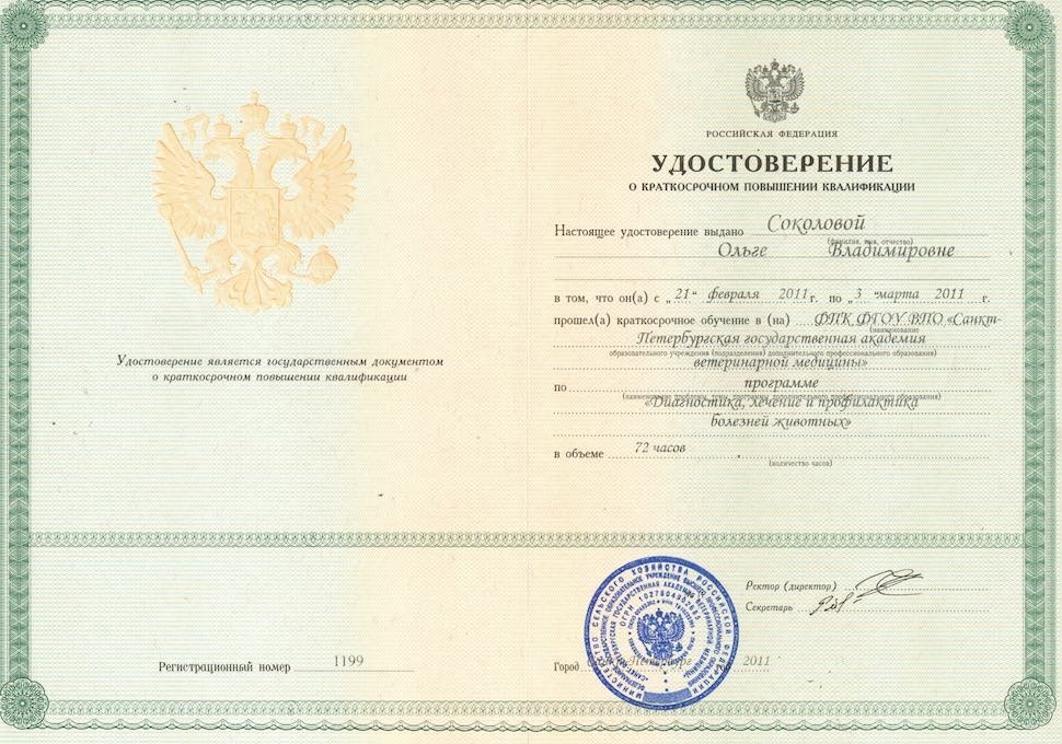 Документ или сертификат