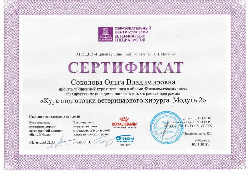 Документ или сертификат
