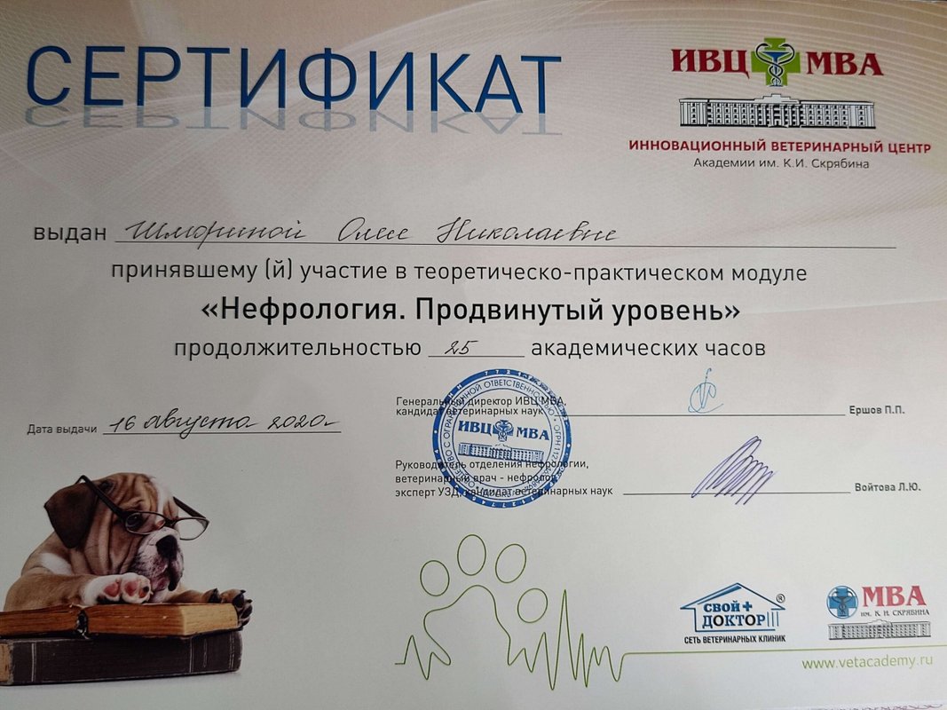 Документ или сертификат