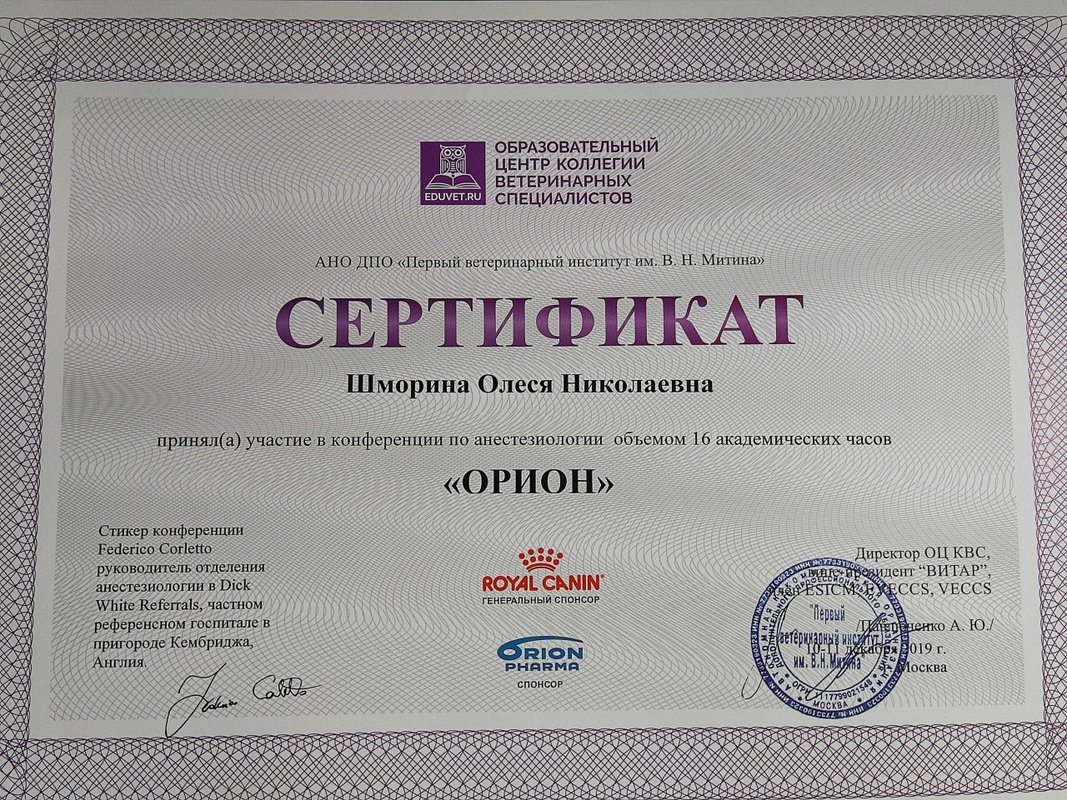 Документ или сертификат