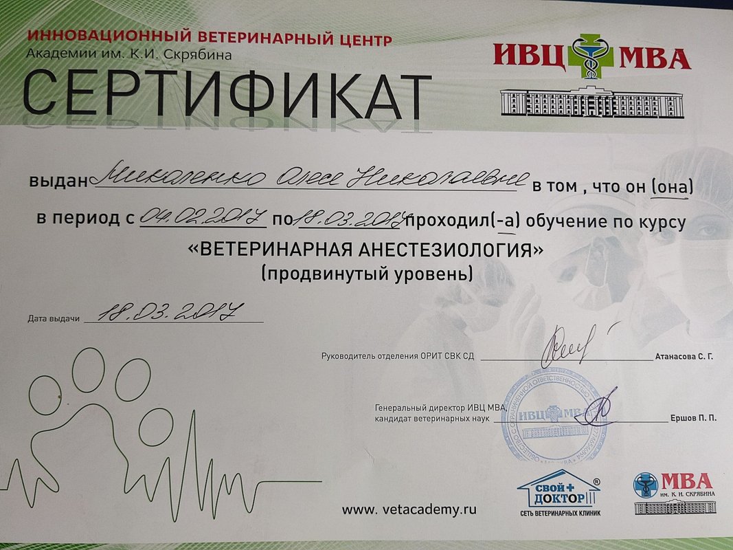Документ или сертификат
