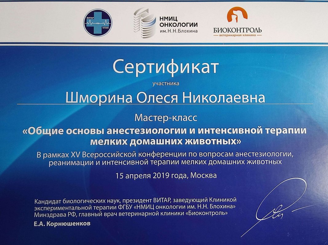 Документ или сертификат