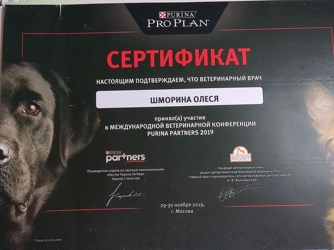 Документ или сертификат