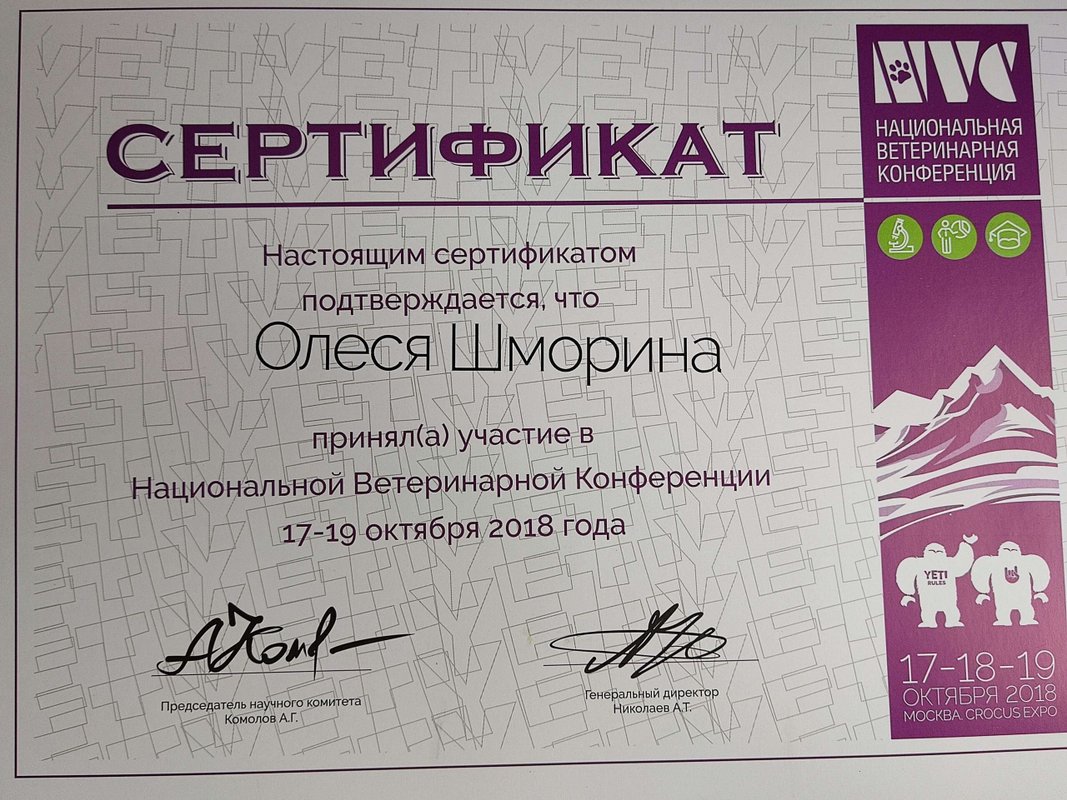 Документ или сертификат