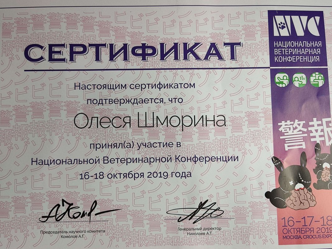 Документ или сертификат