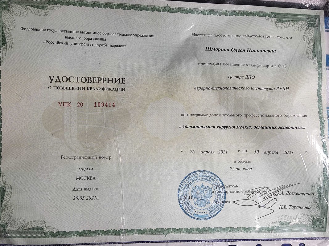 Документ или сертификат