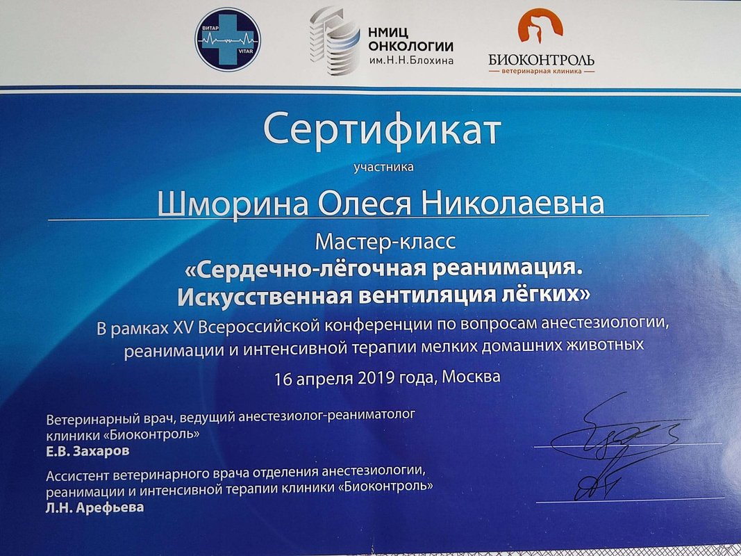 Документ или сертификат