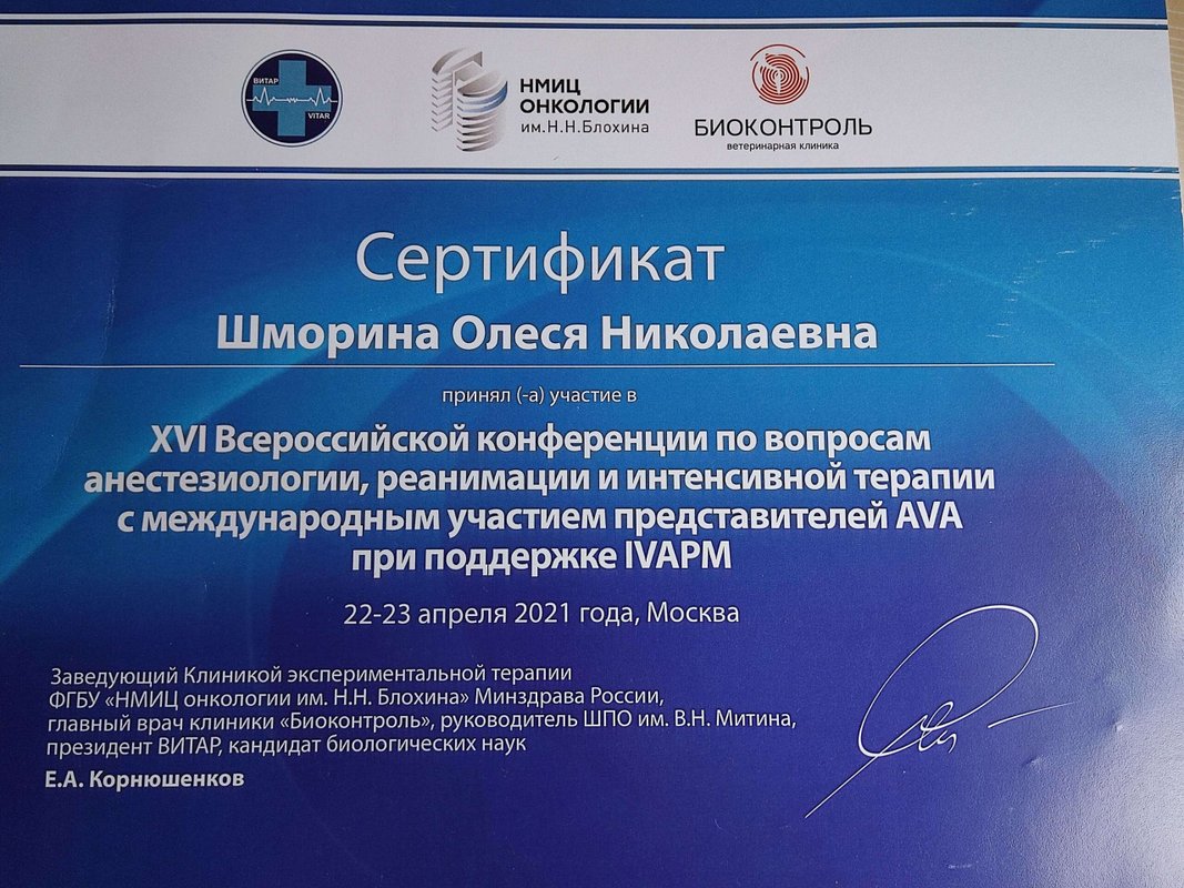 Документ или сертификат