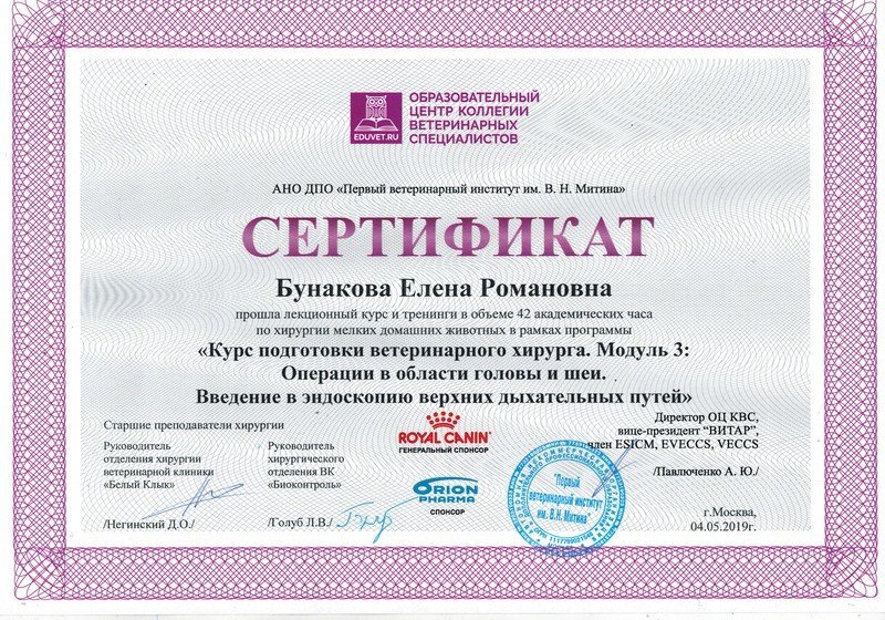 Документ или сертификат