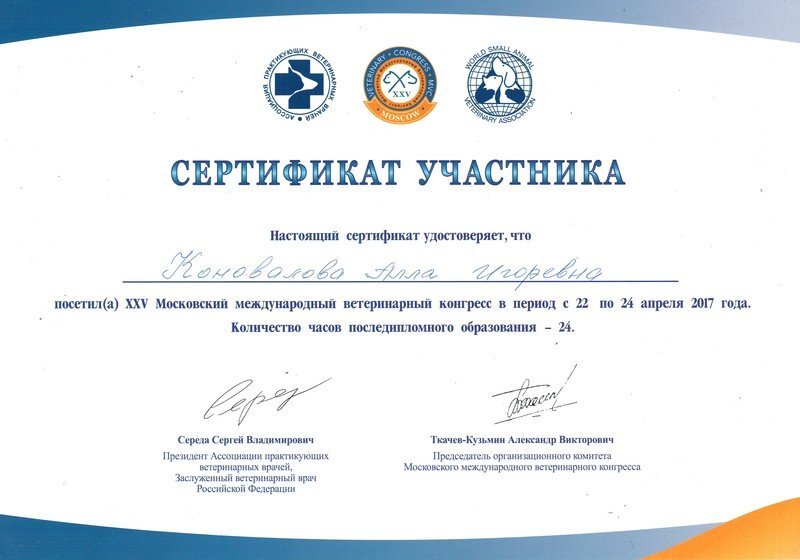 Документ или сертификат