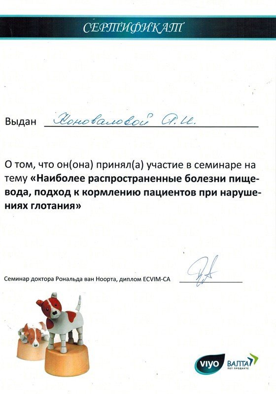 Документ или сертификат