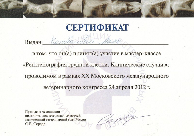 Документ или сертификат