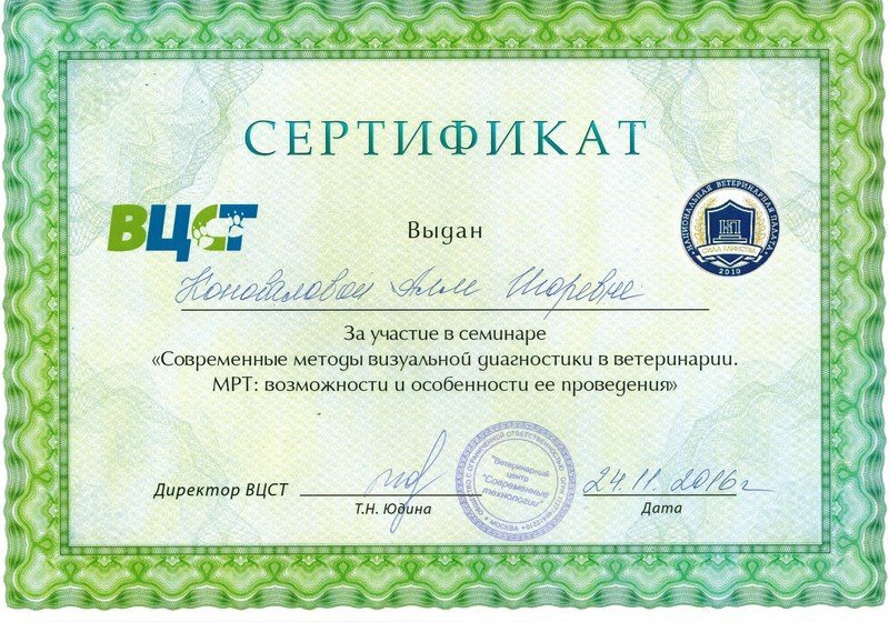 Документ или сертификат