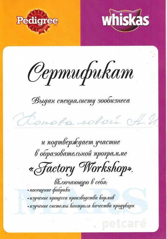 Документ или сертификат