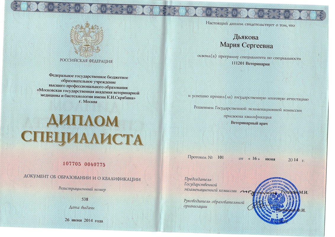 Документ или сертификат
