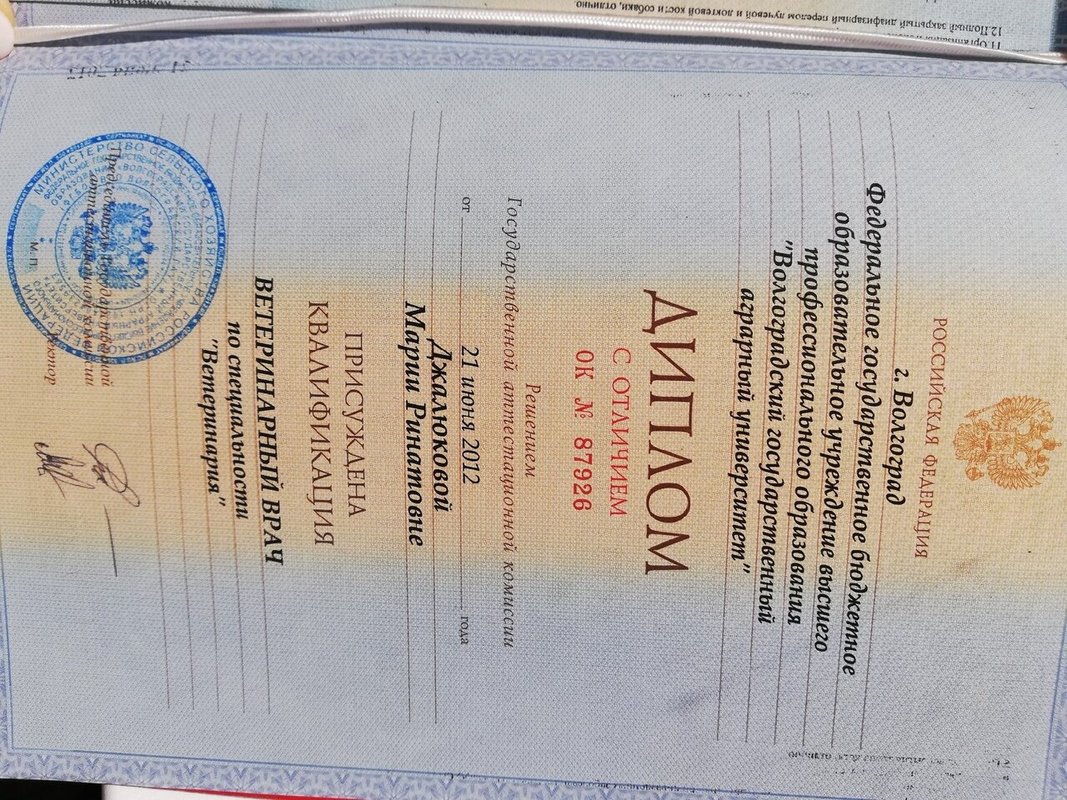 Документ или сертификат