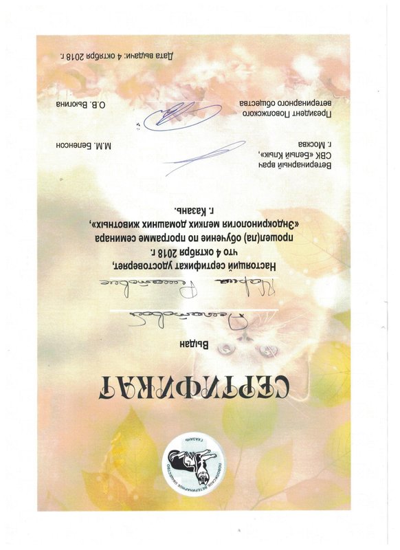 Документ или сертификат