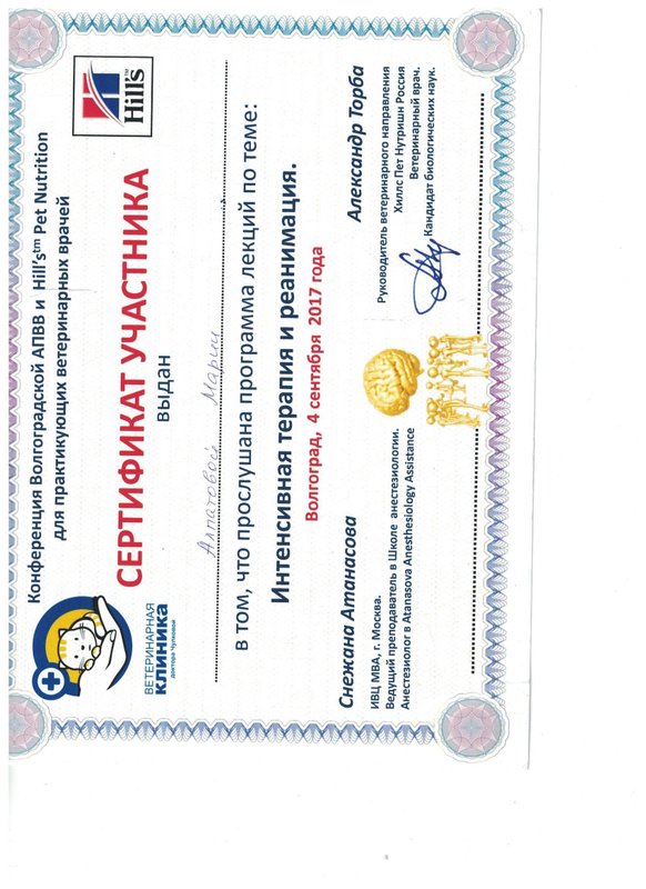 Документ или сертификат