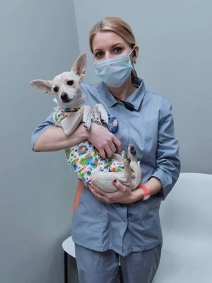 Фото врача Матвеева Ирина Сергеевна