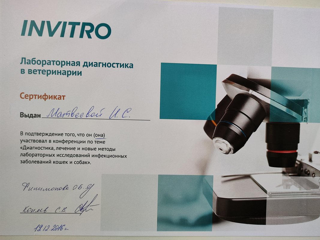 Документ или сертификат