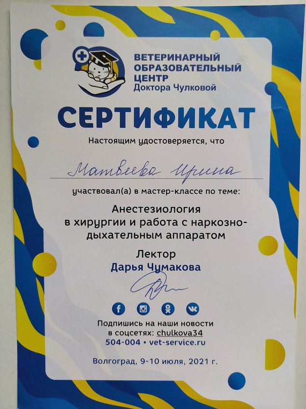Документ или сертификат