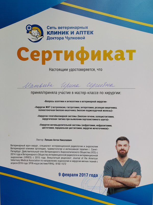 Документ или сертификат