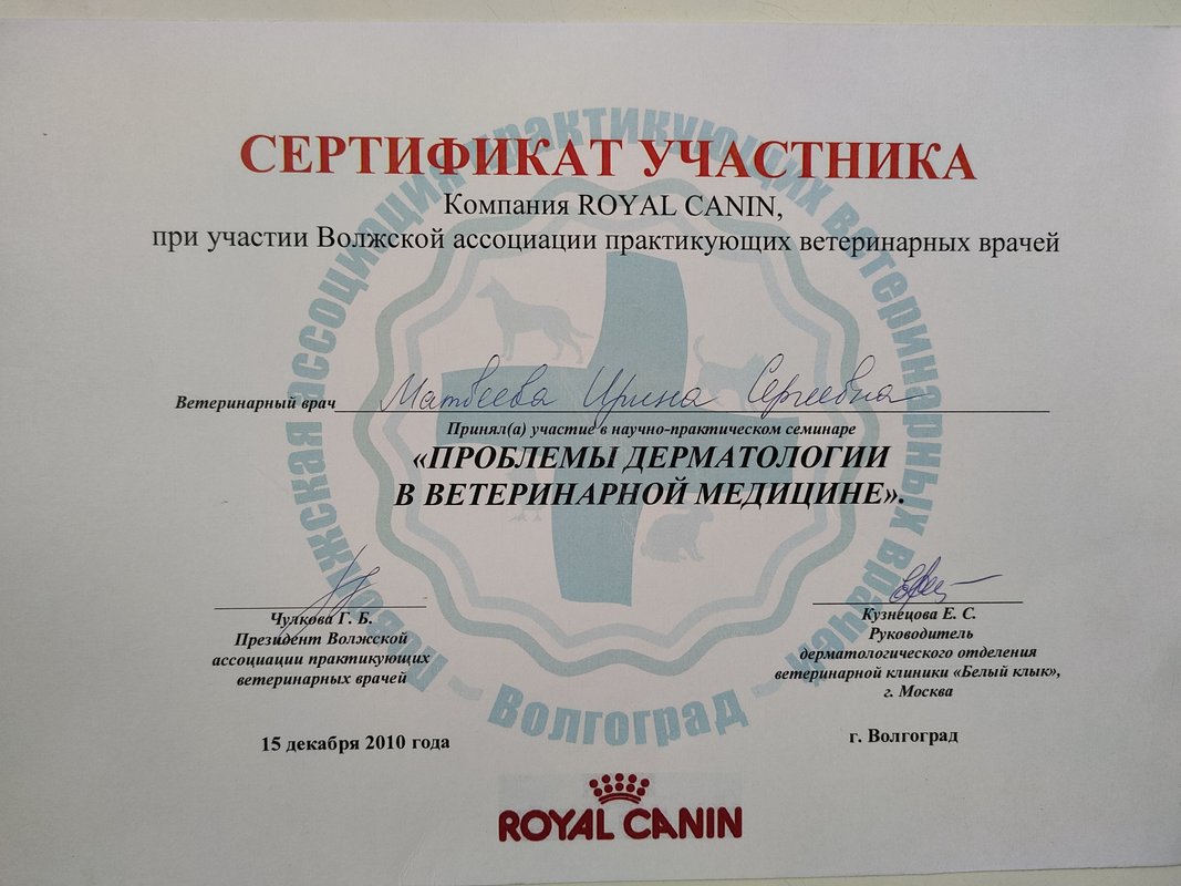 Документ или сертификат