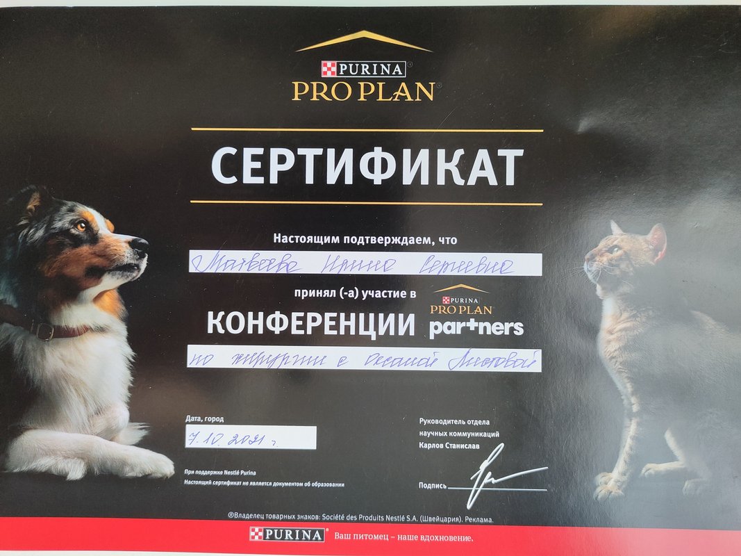 Документ или сертификат