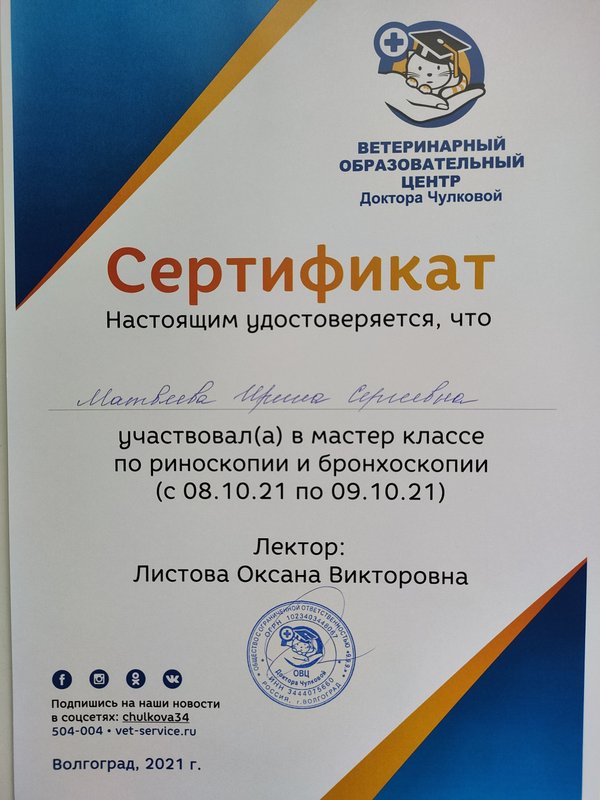Документ или сертификат