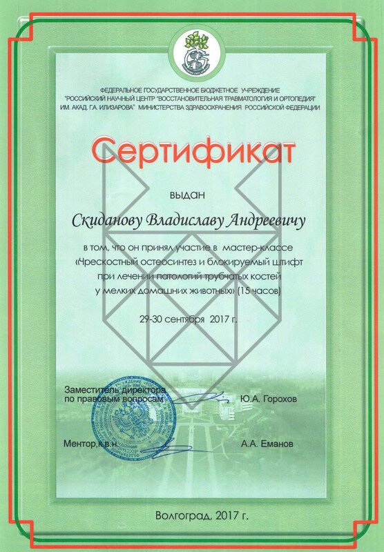 Документ или сертификат