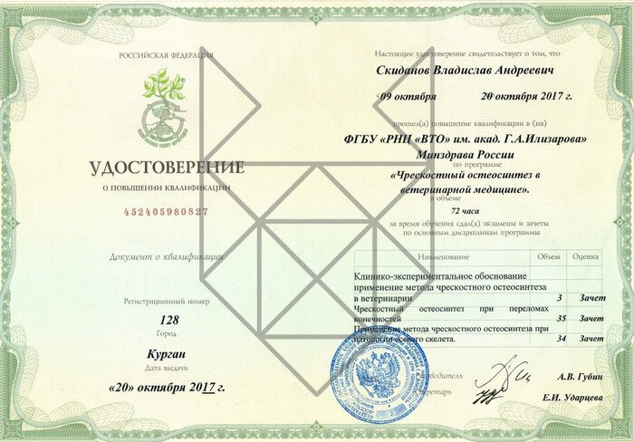 Документ или сертификат