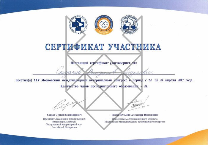 Документ или сертификат